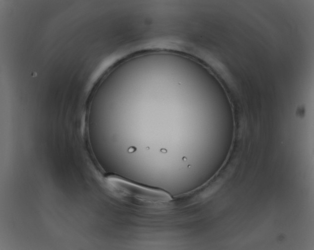 X0000093091224200710101510