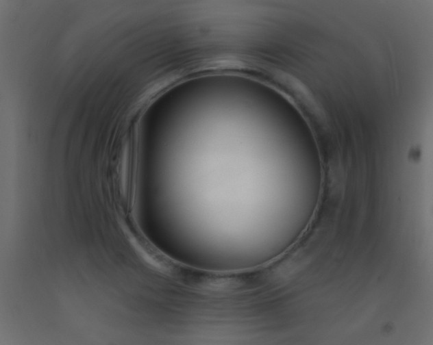 X0000093091225200710101510