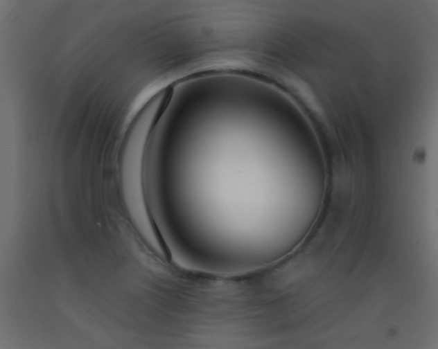 X0000093091226200710101510