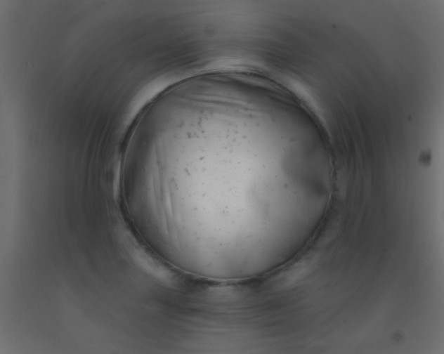 X0000093091227200710101510