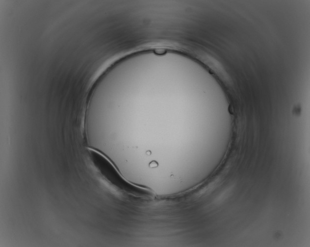 X0000093091228200710101510