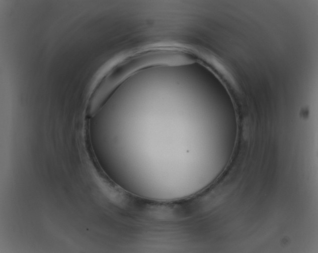 X0000093091229200710101510