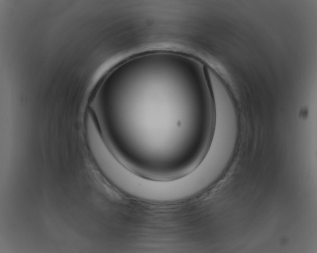 X0000093091230200710101510