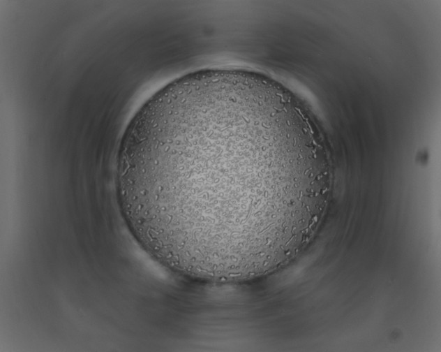 X0000093091231200710101510