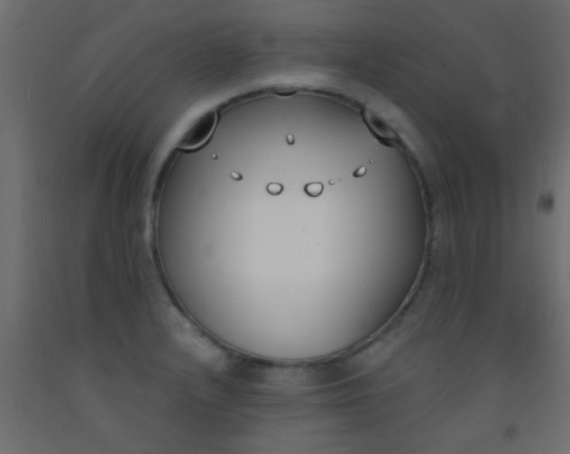 X0000093091232200710101510