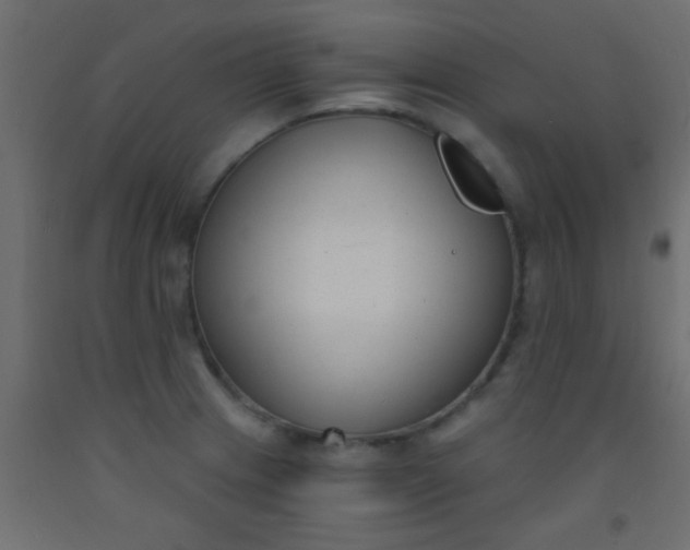 X0000093091233200710101510