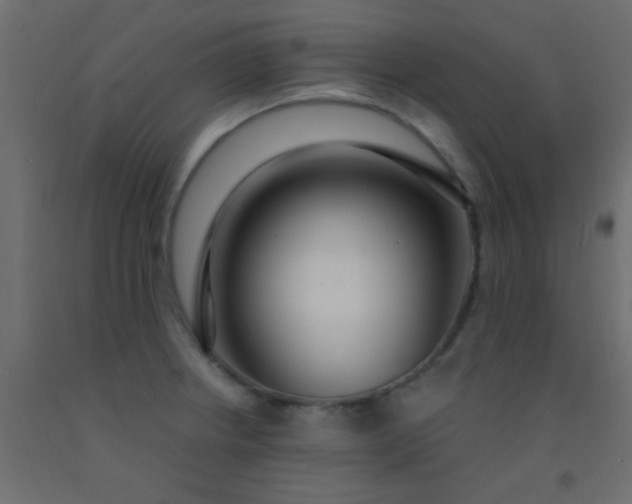 X0000093091234200710101510