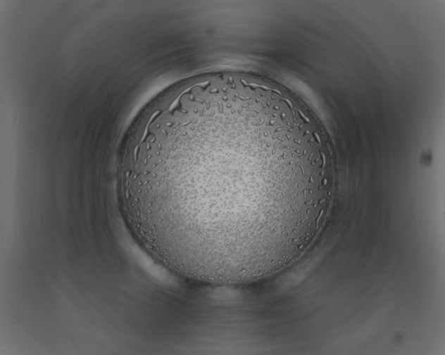 X0000093091235200710101510