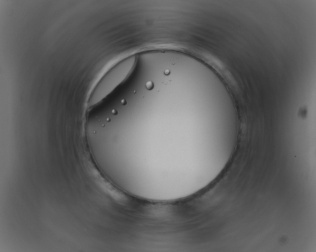 X0000093091236200710101510