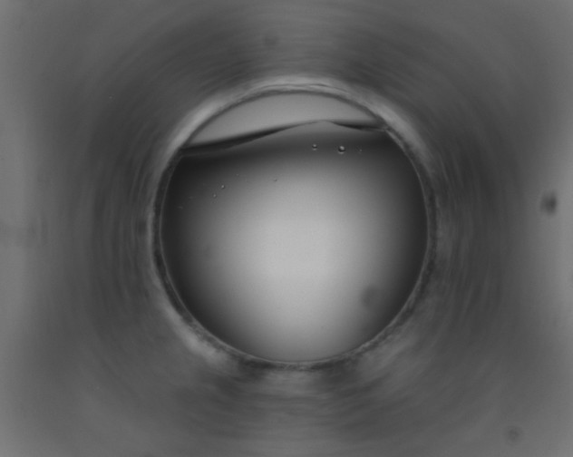 X0000093091237200710101510