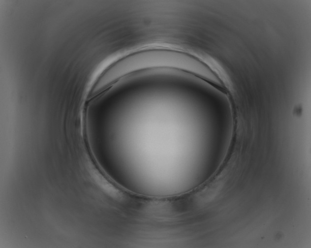 X0000093091238200710101510