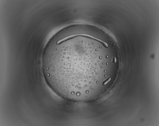 X0000093091239200710101510