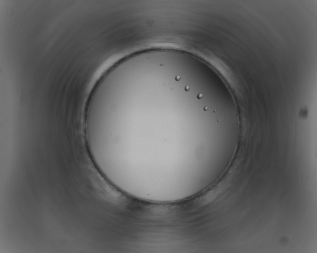 X0000093091240200710101510