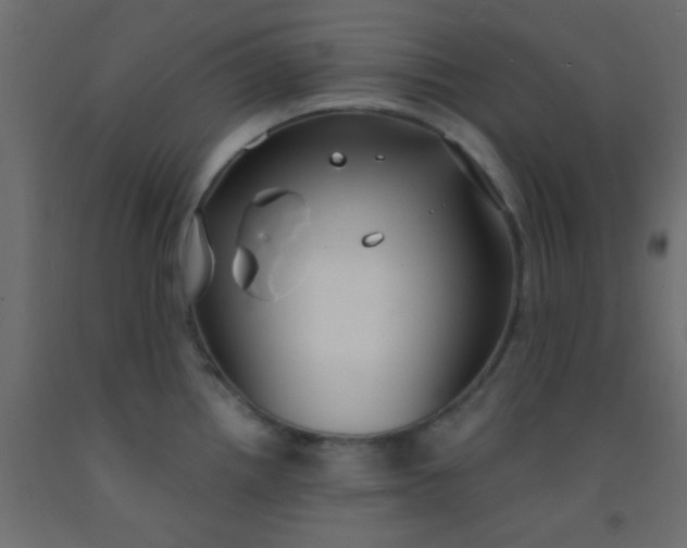 X0000093091242200710101510