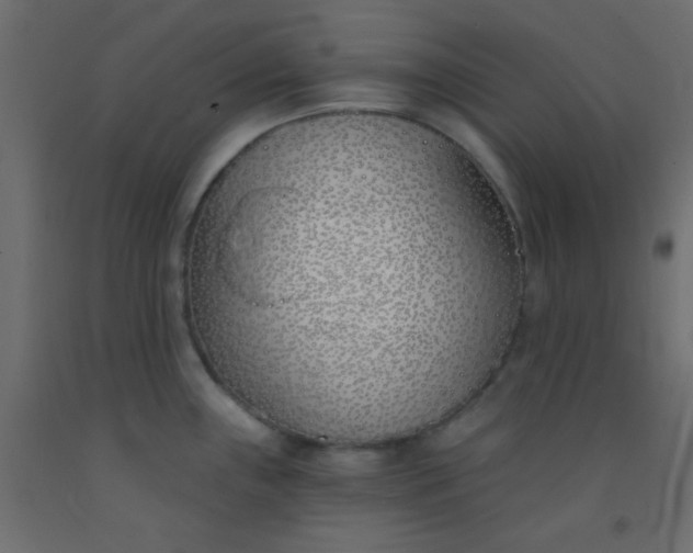 X0000093091243200710101510