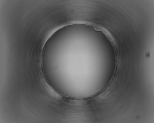 X0000093091244200710101510