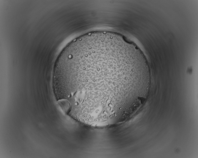 X0000093091245200710101510