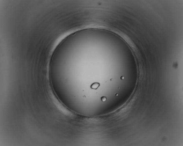 X0000093091246200710101510