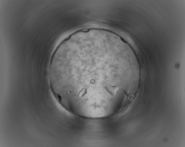 X0000093091247200710101510