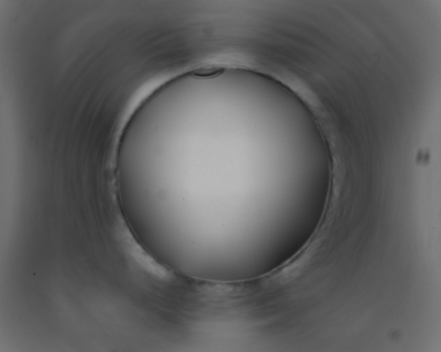 X0000093091248200710101510