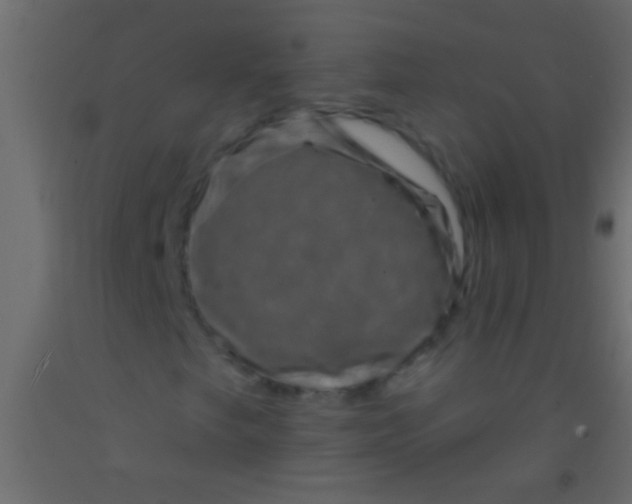 X0000093091249200710101510