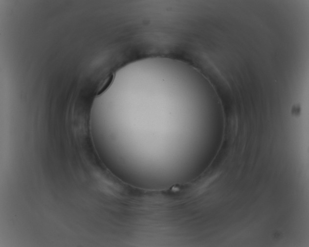 X0000093091250200710101510