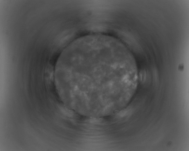 X0000093091251200710101510