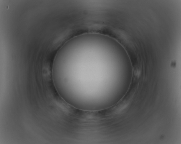 X0000093091252200710101510