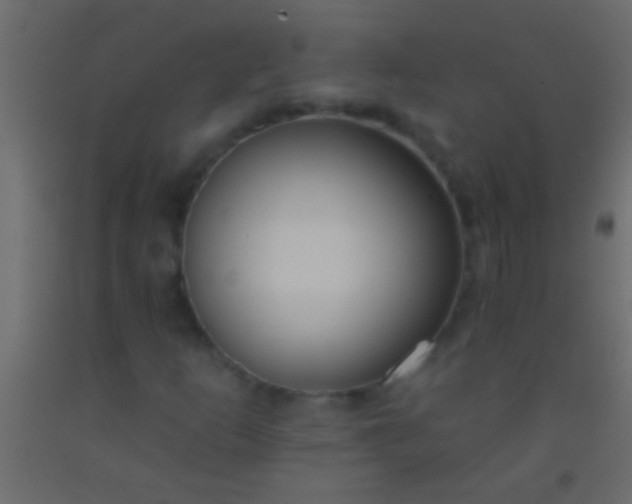 X0000093091253200710101510