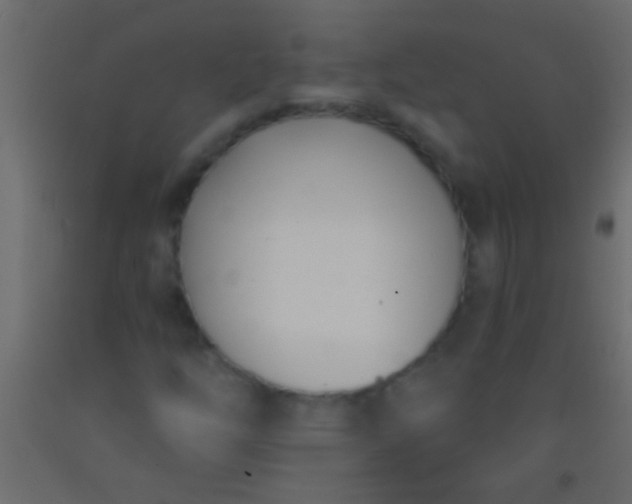 X0000093091254200710101510