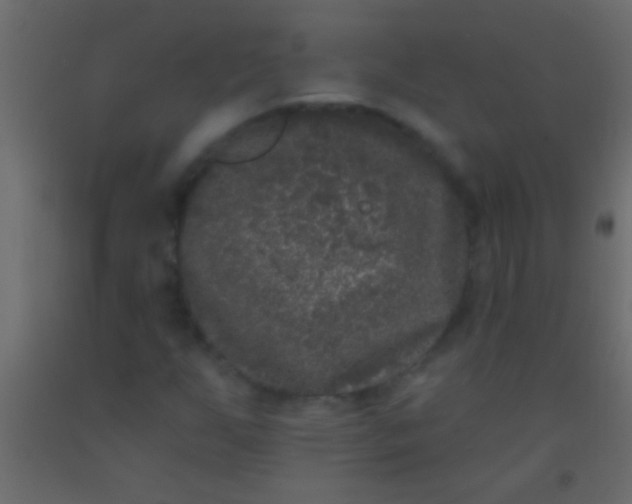 X0000093091255200710101510