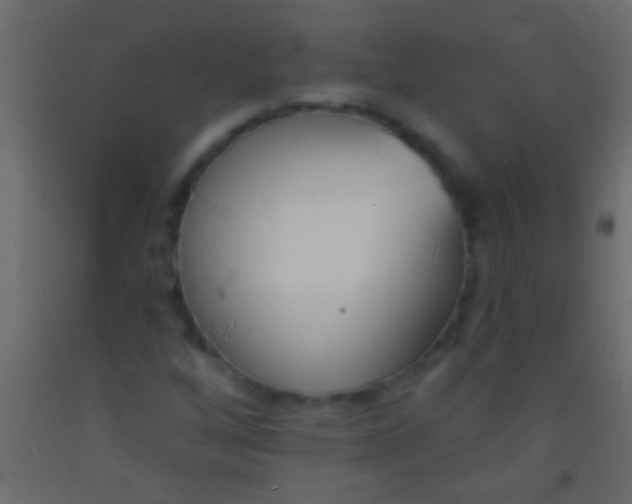 X0000093091256200710101510