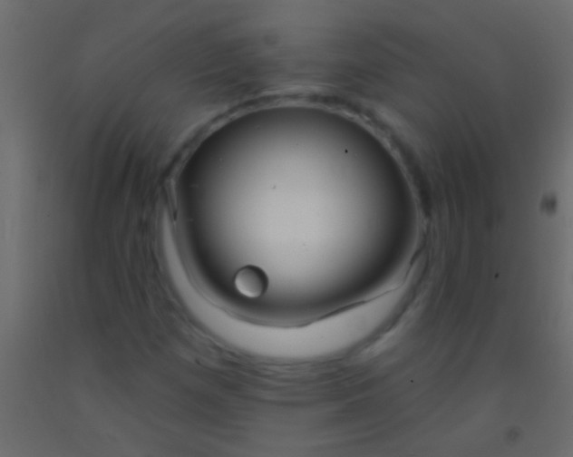 X0000093091257200710101510