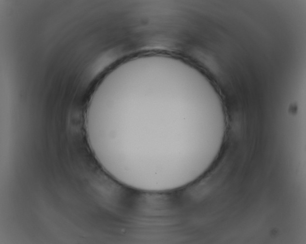 X0000093091258200710101510