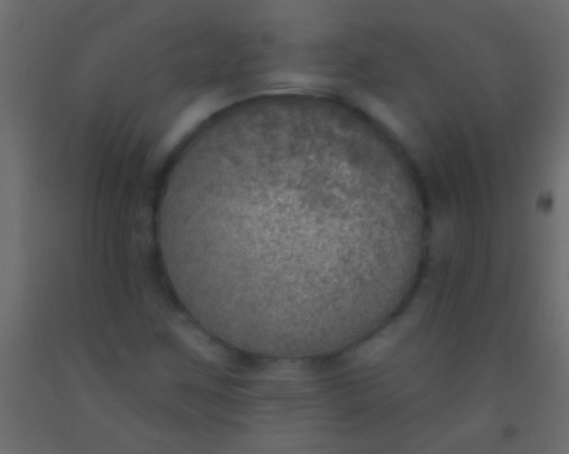 X0000093091259200710101510