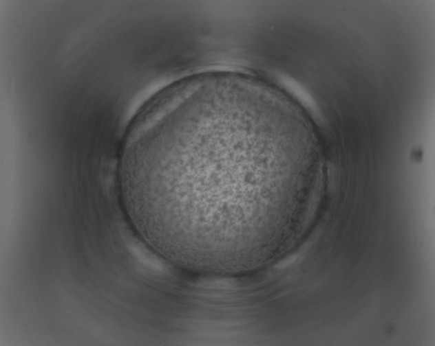 X0000093091260200710101509