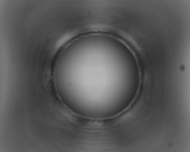 X0000093091261200710101509