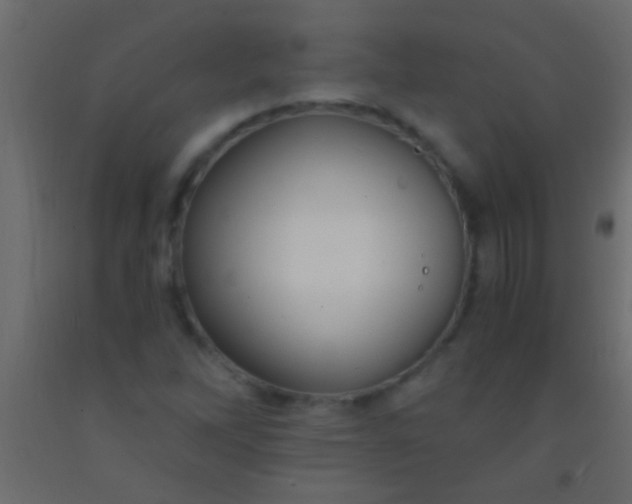 X0000093091262200710101509