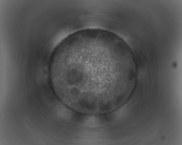 X0000093091263200710101509