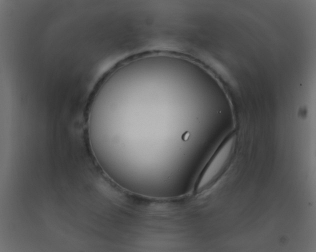 X0000093091264200710101509