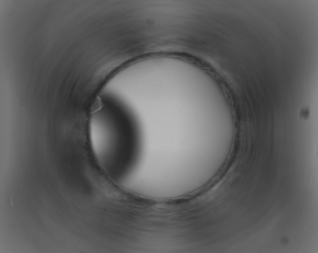 X0000093091265200710101509