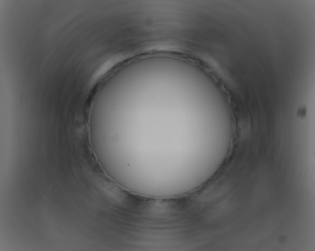 X0000093091266200710101509