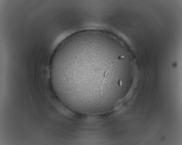 X0000093091267200710101509