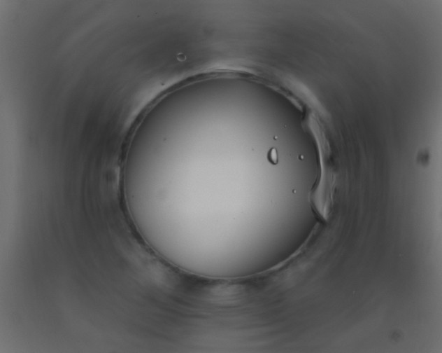 X0000093091268200710101509