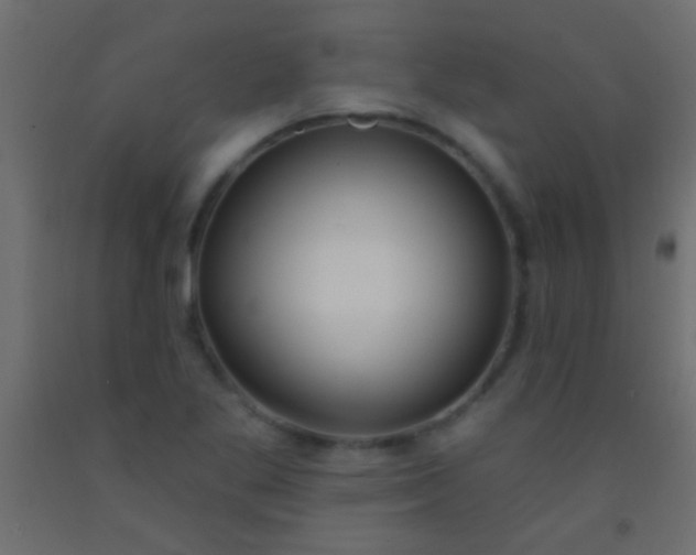 X0000093091269200710101509