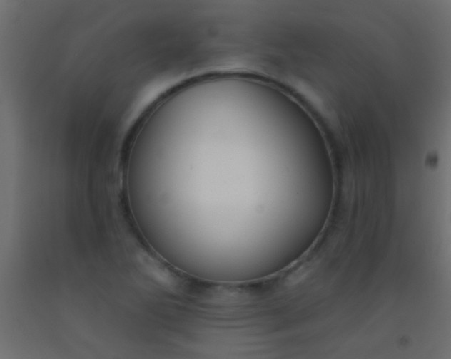 X0000093091270200710101509