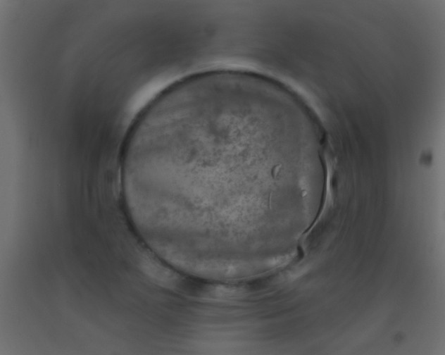 X0000093091271200710101509