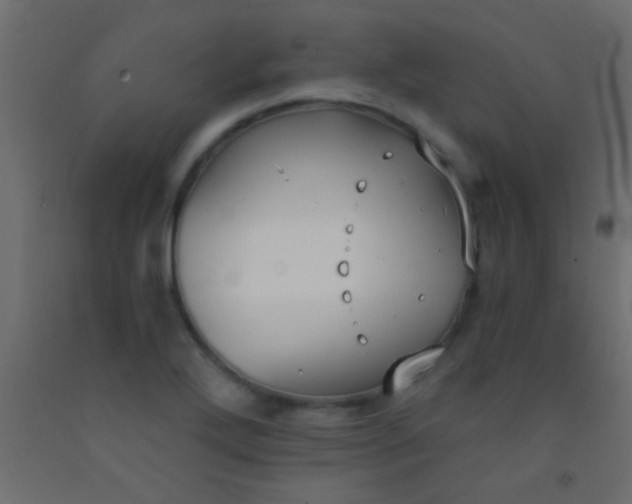 X0000093091272200710101509