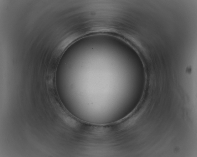 X0000093091273200710101509