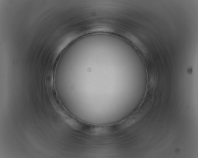 X0000093091274200710101509